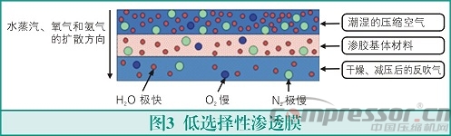 膜式干燥器的原理與應(yīng)用