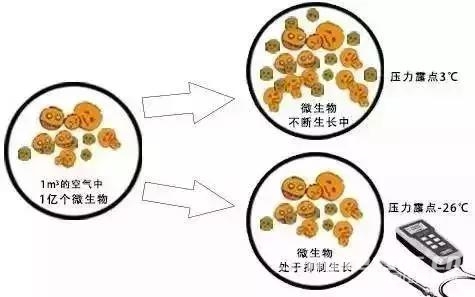 食品行業(yè)壓縮空氣品質(zhì)令人擔(dān)憂(yōu)，正是后處理和無(wú)油機(jī)的機(jī)會(huì)所在！