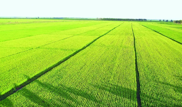 什么樣的行業(yè)需要使用空氣壓縮機