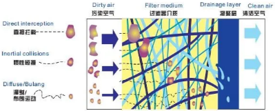 每年消耗超2000億個(gè)，塑料瓶吹制壓縮空氣如何配置？