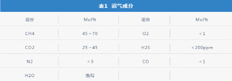 挖掘新市場！噴油螺桿壓縮機(jī)在沼氣增壓行業(yè)也有用武之地