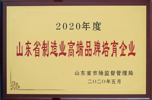 冰輪環(huán)境入選山東省制造業(yè)高端品牌持續(xù)培育企業(yè)