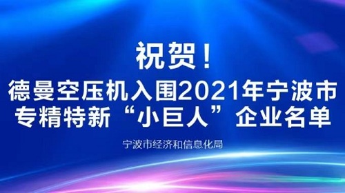 寧波德曼壓縮機(jī)登榜2021年寧波專精特新小巨人企業(yè)